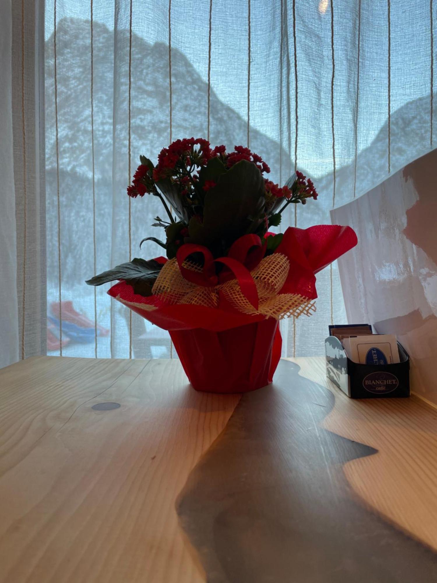 B&B Il Nido Sappada Eksteriør bilde